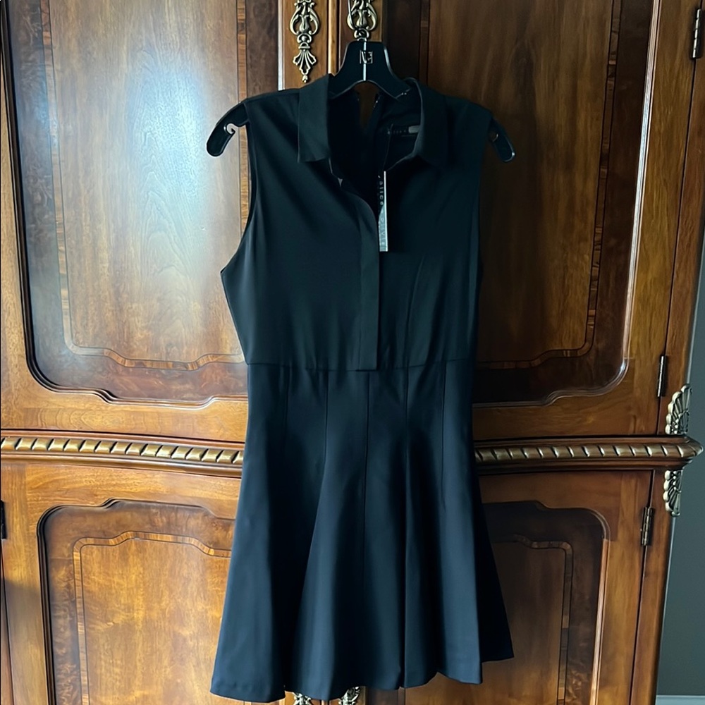 Alice + Olivia Black Fit and Flare Mini Dress